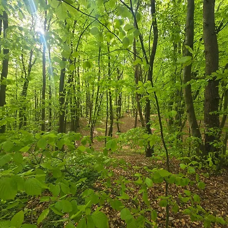 Lesna Oaza 3 Pokoje-65m Appartamento *